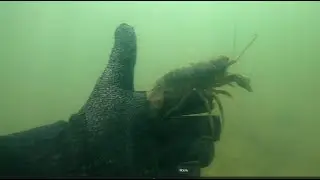 ЛОВИМ РАКОВ НА ОЗЕРЕ ПОДВОДНЫЙ ПОИСК ПЛЯЖНЫЙ ПОИСК ЖАРИМ МЯСО