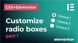 How to style radio and checkmark field box in CSS and Elementor forms | Custom radio boxes | Part 1