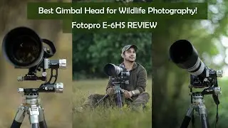 Best Gimbal Head for Wildlife Photography | Fotopro E 6HS Gimbal Head Review | Wildlife Photography