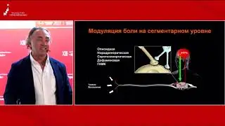 Ацетилхолин - Ко-Анальгетик и восстановление нервов