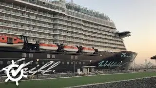 Mein Schiff 5: So war meine Dubai-Kreuzfahrt - Fazit (TUI Cruises)