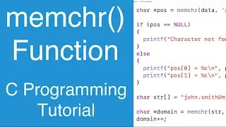 memchr() Function | C Programming Tutorial