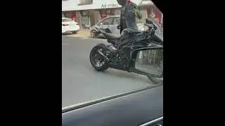 Подарил Розу