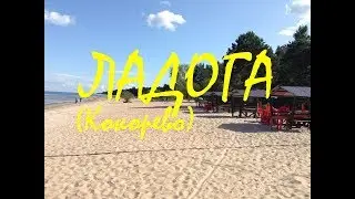 Ленинградская область, Золотой пляж в Кокорево