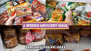 2 WEEKS GROCERY HAUL Silent Vlog with prices. How much did we spend?