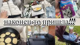 VLOG: привезли МЕБЕЛЬ/Максим БОЛЕЕТ/посылка ПОТЕРЯШКА/стираю ШТОРЫ