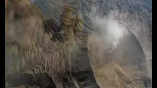 Би-2 