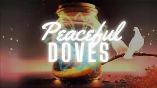 Peaceful Doves & Cosmic Dreams - A Soothing Visual Journey for Relaxation & Sleep