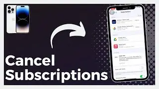 How To Cancel Subscriptions On iPhone (Update 2024)