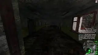 I Am Going Insane | Stalker GAMMA