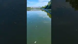 Не успевает опускаться на дно, уже вытаскивать надо 