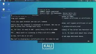 Proxy Curl command to burp