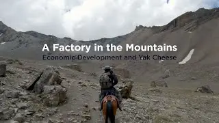 A Factory in the Mountains: Economic Development and Yak Cheese | UConn