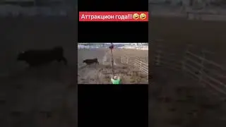 #fyp аттракцион не забываймый