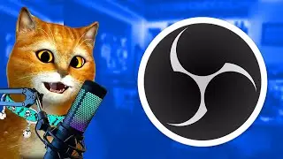 ОБС ДЛЯ КОТА как настроить obs