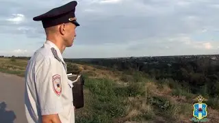 «Здравствуй, Тихий Дон!» Ростовский полицейский и общественник поют о своей малой родине