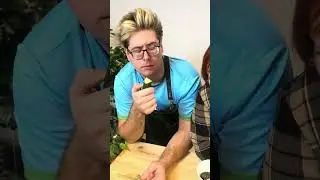 ЧЕРНОШИПЫЕ/ БЕЛОШИПЫЕ ОГУРЦЫ. В ЧЕМ РАЗНИЦА?