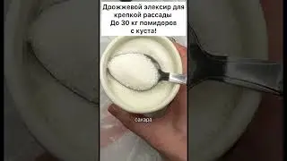 Дрожжевой элексир для крепкой рассады До 30 кг ! 