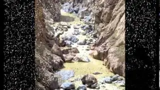 Песни Афгана. 