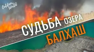 Что ждёт Балхаш и Прибалхашье в ближайшем будущем? «Наедине с природой»