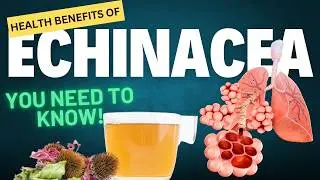 Unbelievable Health Benefits of Echinacea You Need to Know!