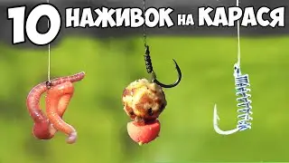 10 ЛУЧШИХ НАСАДОК на КАРАСЯ для РЫБАЛКИ ЛЕТОМ