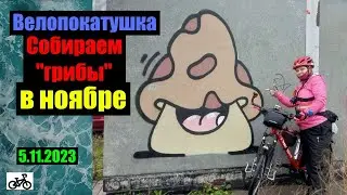 Велопокатушка. В ноябре за грибами.