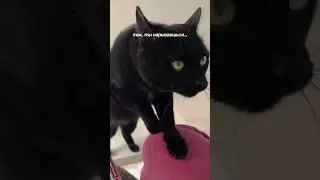 #изобилие