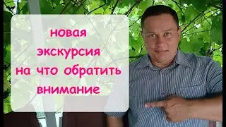 Новая экскурсия. На что обратить внимание в первую очередь.