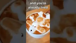 when i'm tired 🤪 