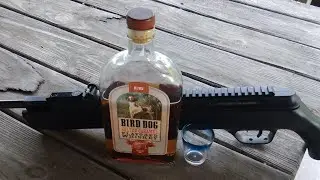 The SHOT GLASS Airgun Challenge