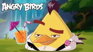 Angry Bird Chuck's Most CHUCKLESOME Moments! 🐤