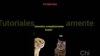 El gatito sabe, y tu cuando te unes al grupo? #hahtech #devops #gatitos