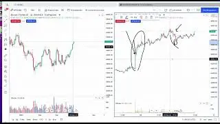ВНИМАНИЕ! БИТКОИН ГОТОВИТ ЛОВУШКУ   ПАМПЫ НА КРИПТЕ