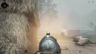 HUNT SHOWDOWN | maybe highlight?