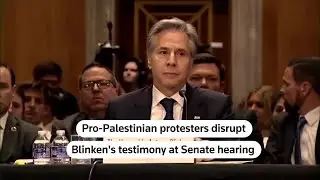 Protesters interrupt Blinkens Senate testimony | REUTERS