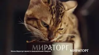 Корм для кошек MIRATORG премиум-класса. Самый мясной - полнорационный и сбалансированный.