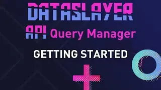 Dataslayer API Query Manager: Getting started