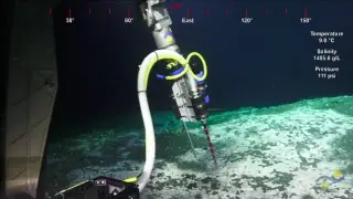 ROV SuBastian Dive 131 - Hydrate Ridge South - Adaptive Robotics