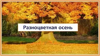 Разноцветная осень. Красивая песня про осень