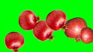 Falling Down Pomegranate Green Screen Copyright Free