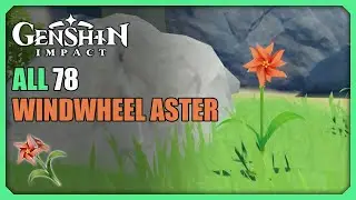 ALL 78 Windwheel Aster Locations | Efficient Farming Route | Genshin Impact