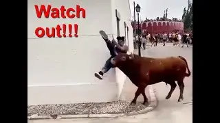 Try not to laugh - Watch Where You are Going.