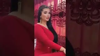 кафтарча 🐦