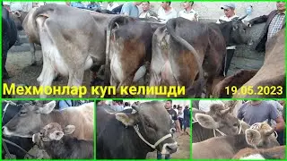 19.05.2023 Китоб тумани, Китоб мол бозори. Чорва нархлари... Каналимизга обуна булинг✅️.
