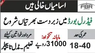 FBR Jobs December 2024 | Federal Board of Revenue