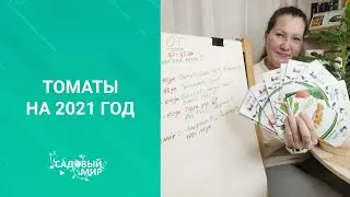 Самый полный обзор томатов на 2021 год. Сорта и гибриды на самый разный вкус