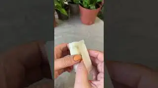 Компактный посев семян