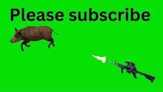 pigs The hunter 🐽  green screen video 📹 pig and gun fire green screen effects! no copyright