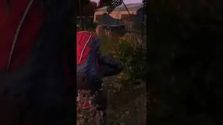 Dayz лутаем военные палатки #dayz #dayzstandalone #дейз #dayzps4 #dayzps4 #dayzxbox #shorts